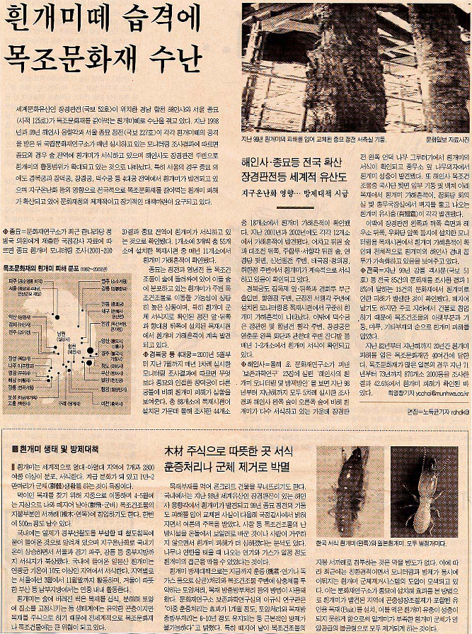 언론보도